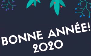 kookie-gestion-pension-animaux-resolution-2020