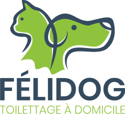 Felidog (45)