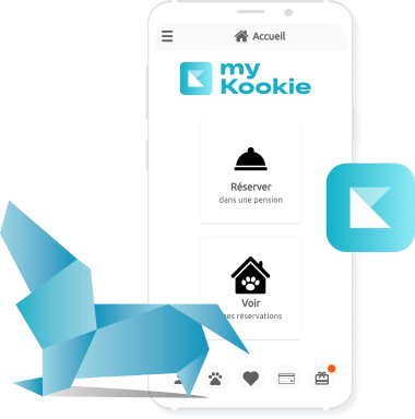 My-Kookie-demo-app-mobile
