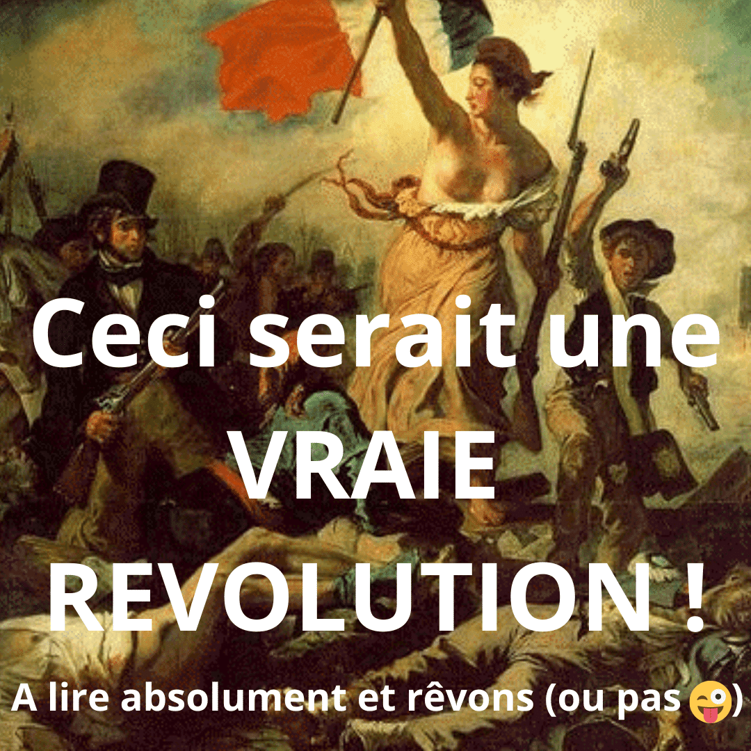 Une révolution pour l'industrie des pensions canines et félines