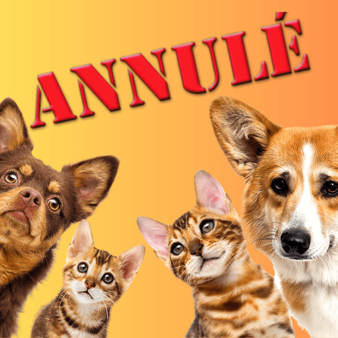 Politique d'annulation de garde d'animaux pension canine féline pet sitter éducateur canin