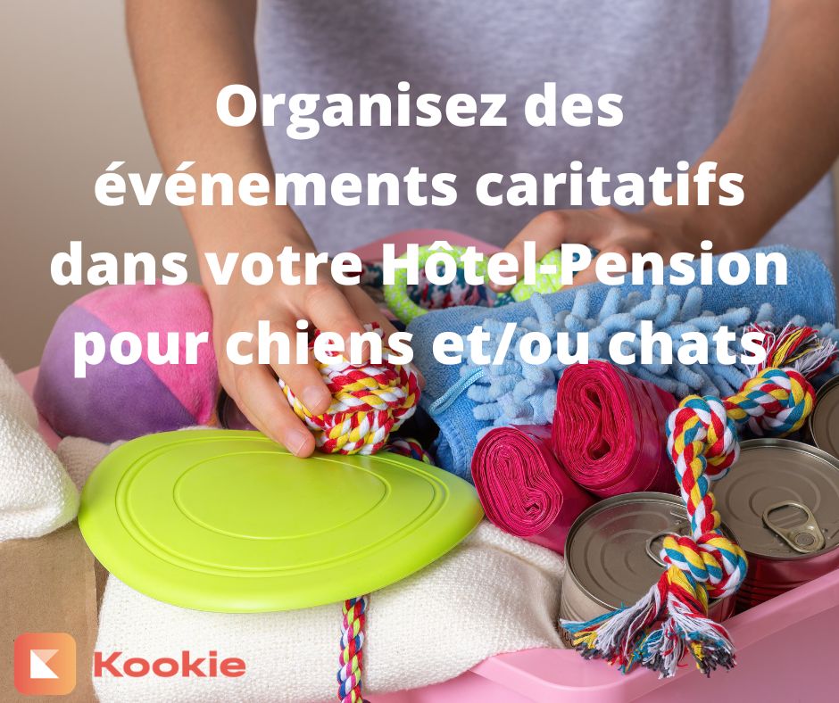 Organisez des événements caritatifs dans votre Hôtel-Pension pour chiens et/ou chats