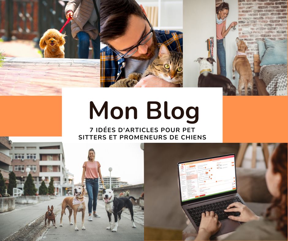 Idées d’articles de blog pour les Pet Sitters et promeneurs(ses) de chiens