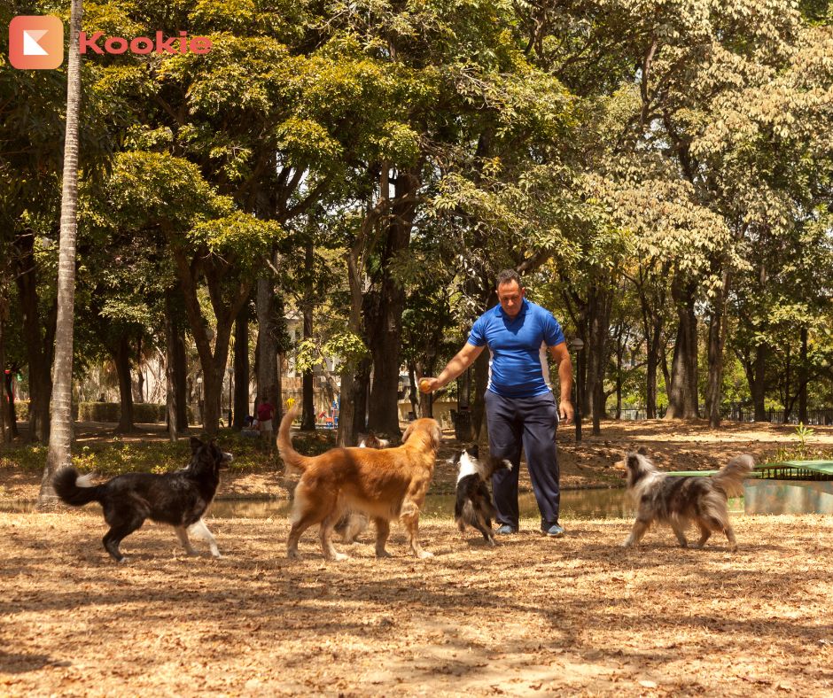 « Ventes croisées » ou « Ventes incitatives » pour les Pros du chien et du chat