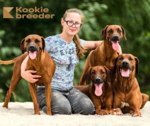 Kookie Breeder - Pour les Élevages Canins ou Félins Exigeants !