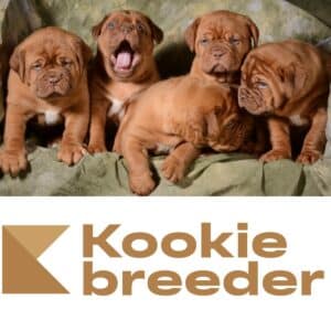 Kookie Breeder