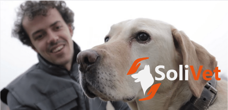 Kookie & Solivet : Pour le Bien-Être Animal et Humain