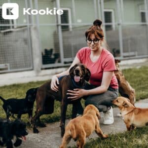 Pension pour chiens et chats