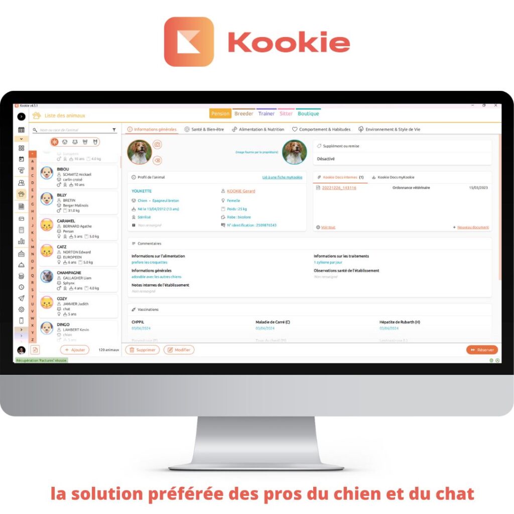 Kookie - Actualités - Comment passer de la gestion papier au digital