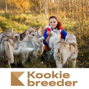 Kookie Breeder débarque dans l’application Kookie Manager