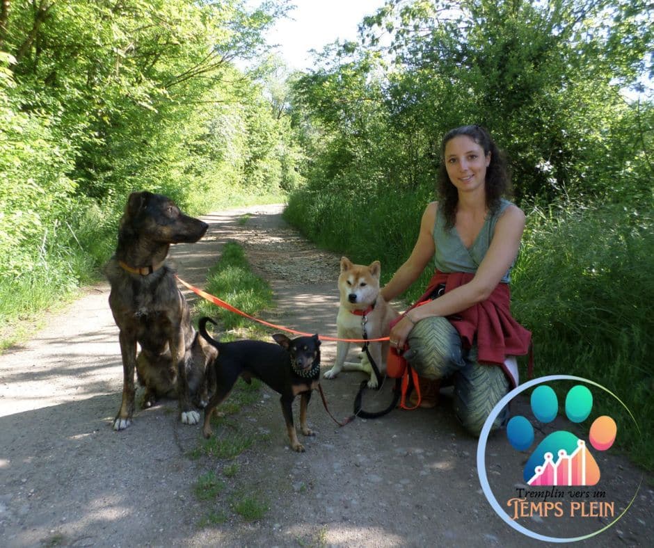 Pourquoi tant d’éducateurs canins disparaissent en moins de 3 ans ?