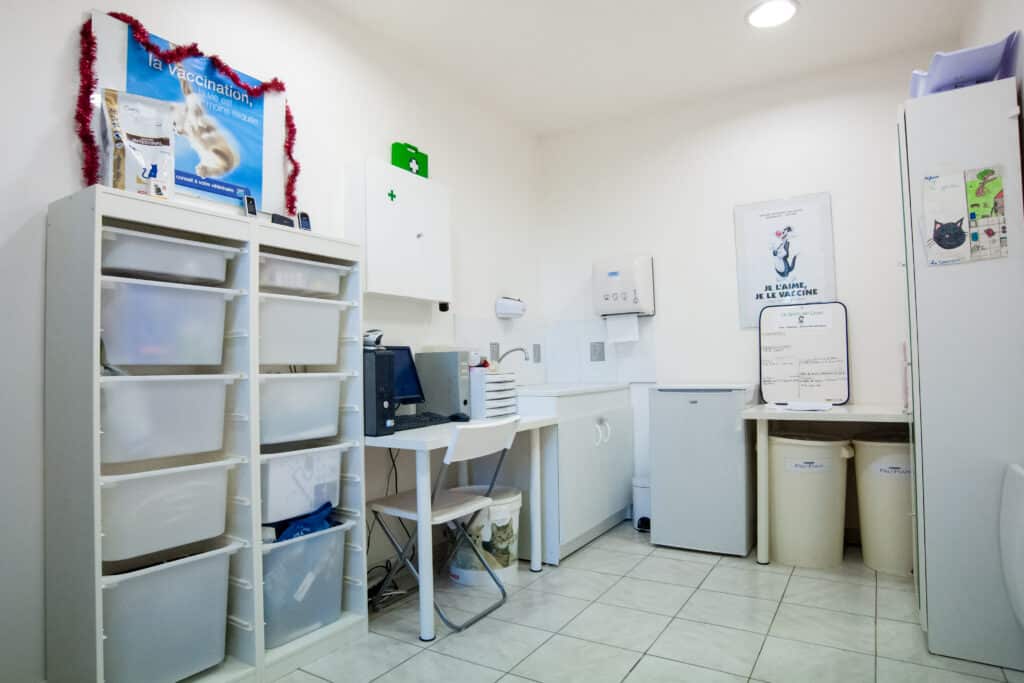 Nos clients ont du talent : Arnaud Zafrilla Gérant de "Le Jardin des Chats"