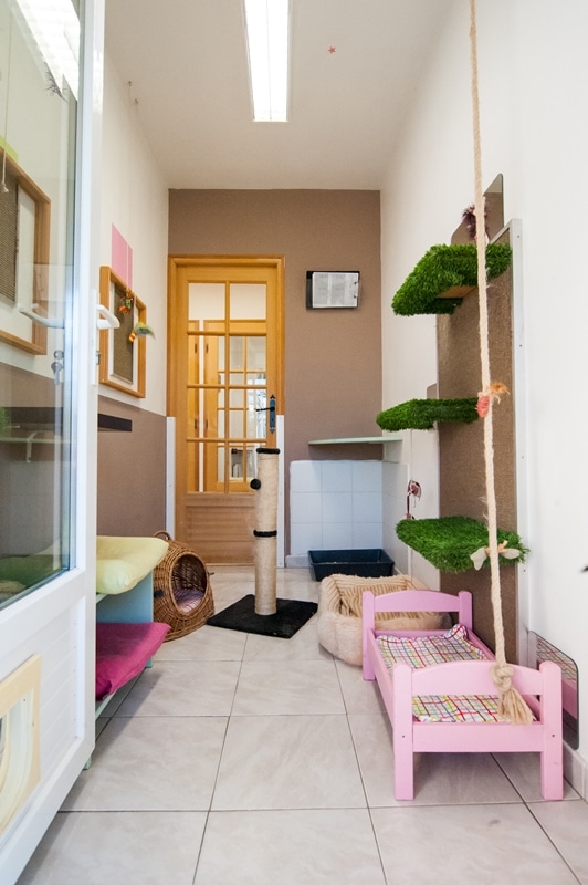 Nos clients ont du talent : Arnaud Zafrilla Gérant de "Le Jardin des Chats"